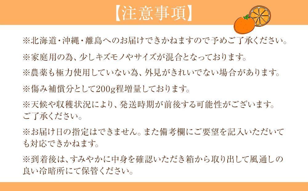 家庭用 森本農園の手選別 極早生みかん 10kg +200g傷み補償付 和歌山県産 2S~2Lサイズ混合 【北海道・沖縄・離島配送不可】【RN29】