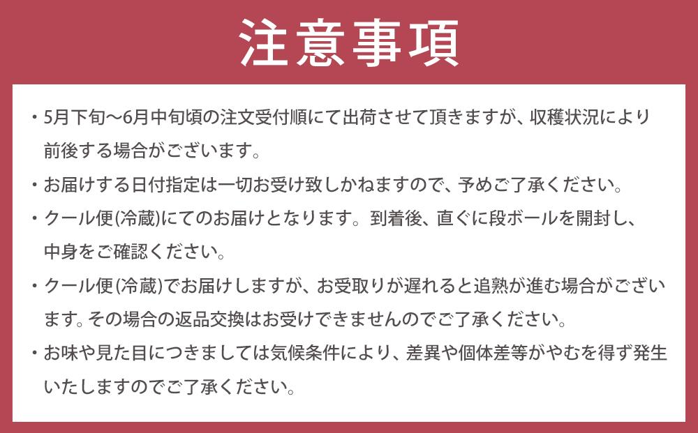 【2025年5月下旬以降発送】紀州南高梅(青梅) 10kg〈Lサイズ〉