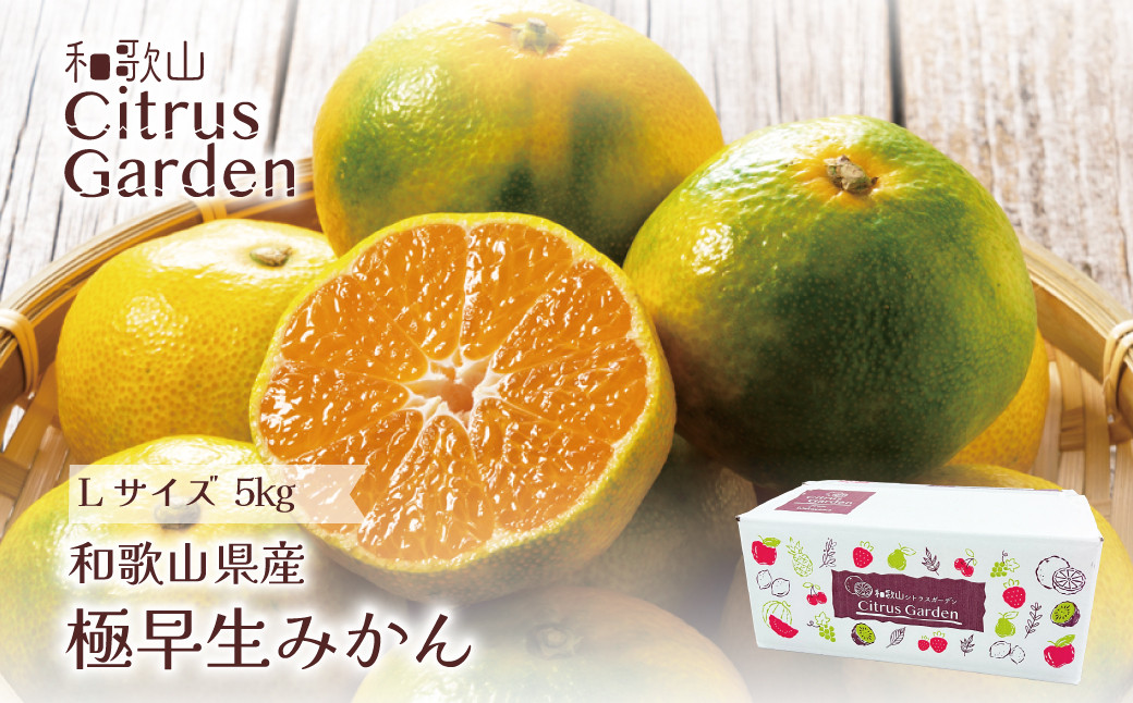和歌山県産 極早生みかん 家庭用 Lサイズ 5kg ［Sn8］