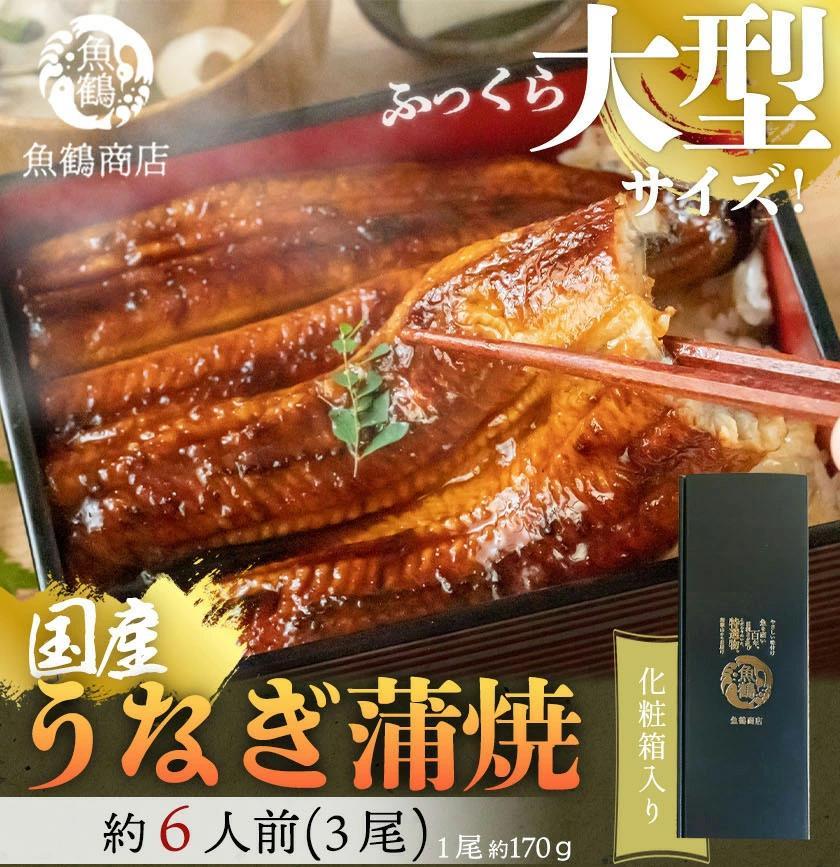 大型サイズ　ふっくら柔らか　国産うなぎ蒲焼き　3尾　化粧箱入【秋土用の丑の日のうなぎ】【～10月30日までにお届け】
