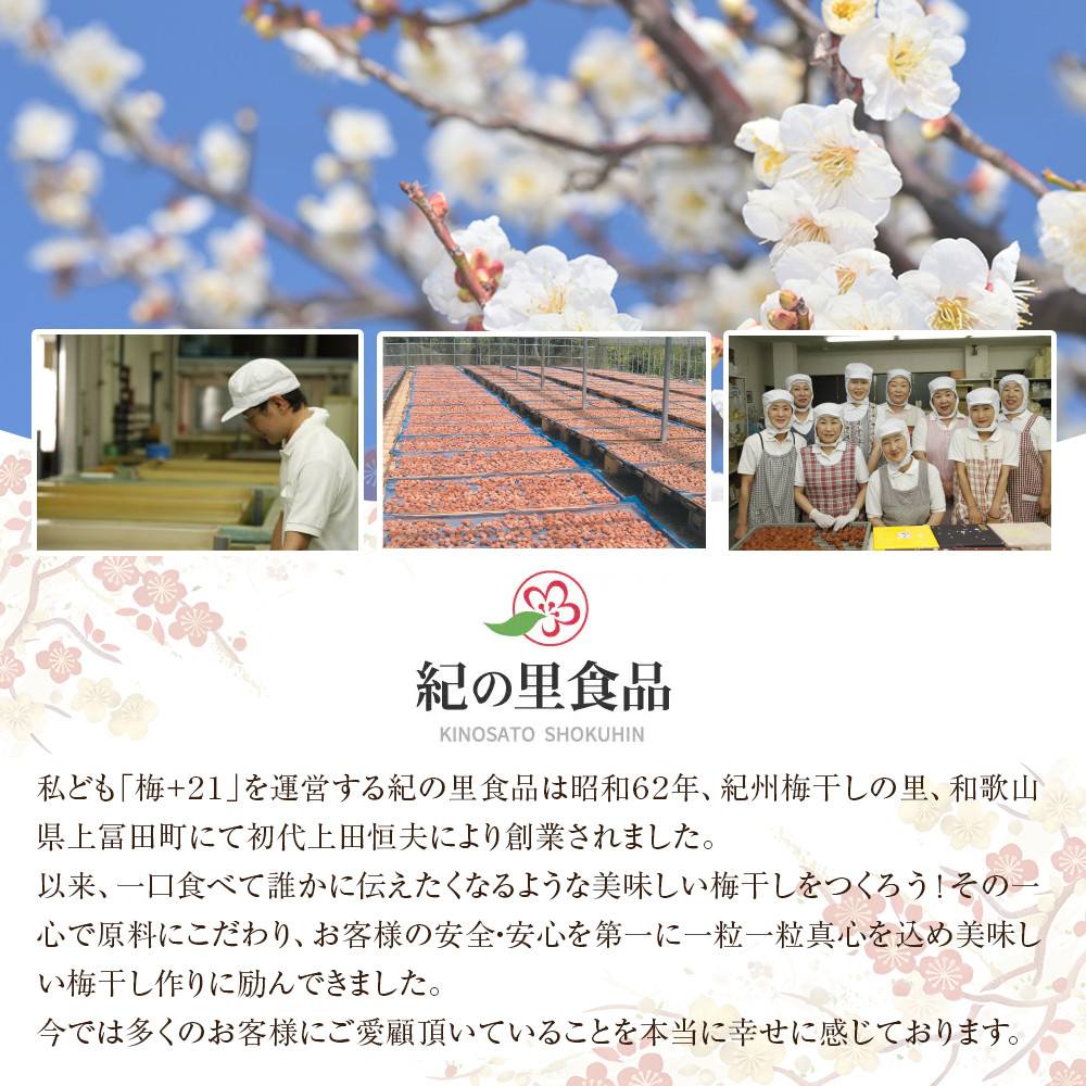 紀州南高梅 梅ばーもん 450g［Kn17］