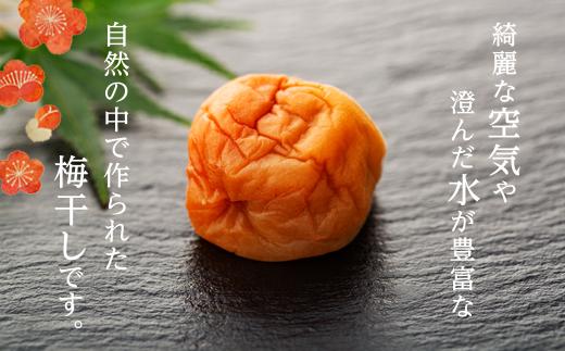 完熟南高梅使用　はちみつ熊野梅干 800g　超フルーティ（塩分8％）