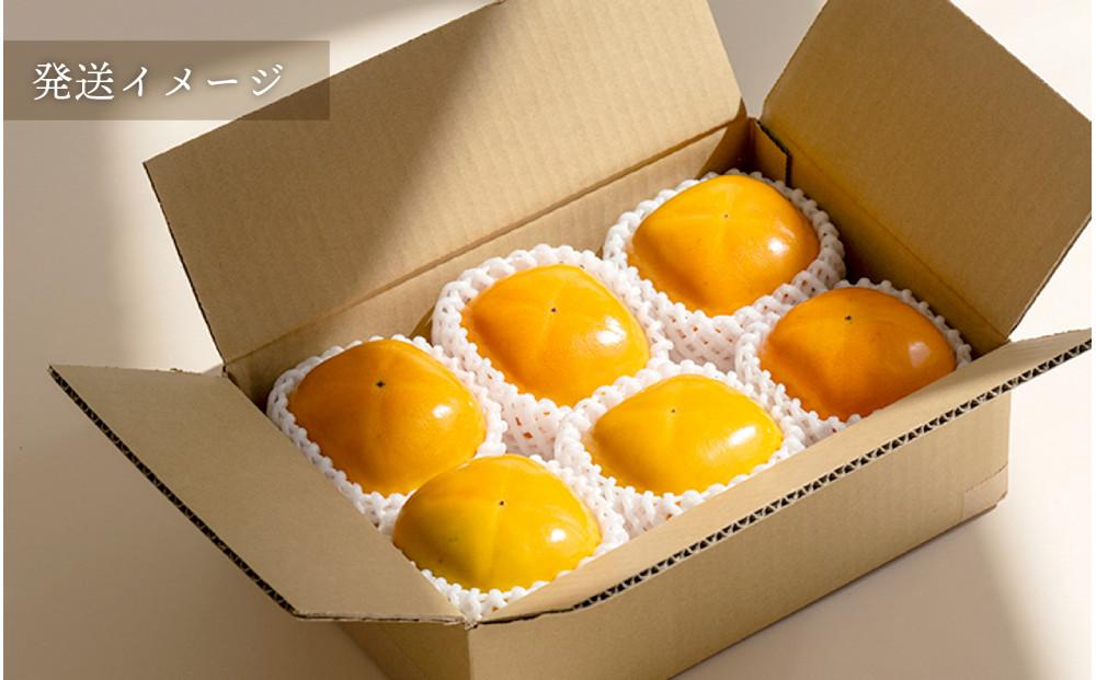 柿 種無し 赤秀品 超大玉 1.8kg 5〜6個 ［先行予約］［2026年9月末頃から発送］［KG4］