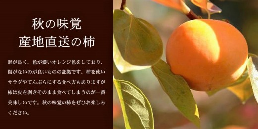 和歌山の種なし柿　約7.5kg（秀品：サイズ・品種おまかせ）／紀伊国屋文左衛門本舗