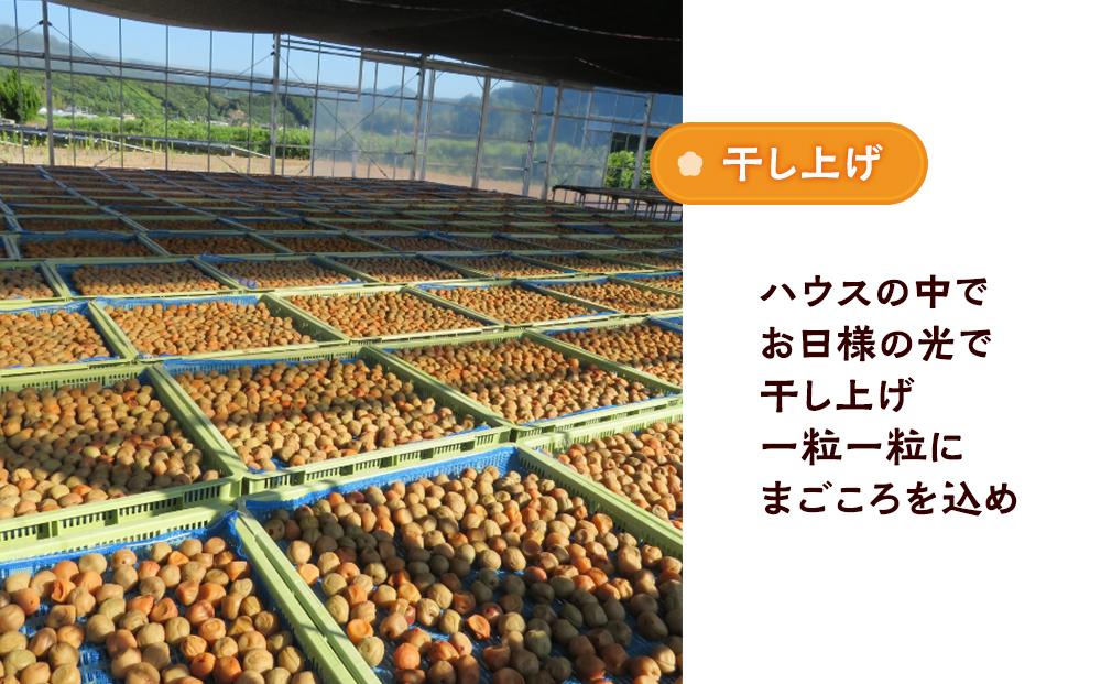 訳ありつぶれ梅干し しそ 合計2.1kg （350g×6パック） 塩分 8％