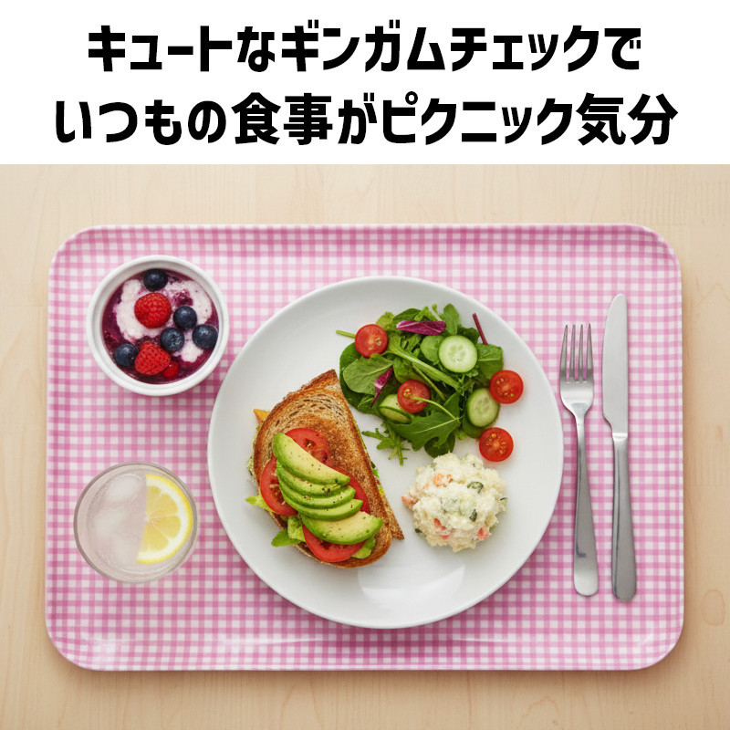 TATSU-CRAFT マグネットトレー SS 21.5cm チェック PK ピンク すべり止め付き ［Tk1052］