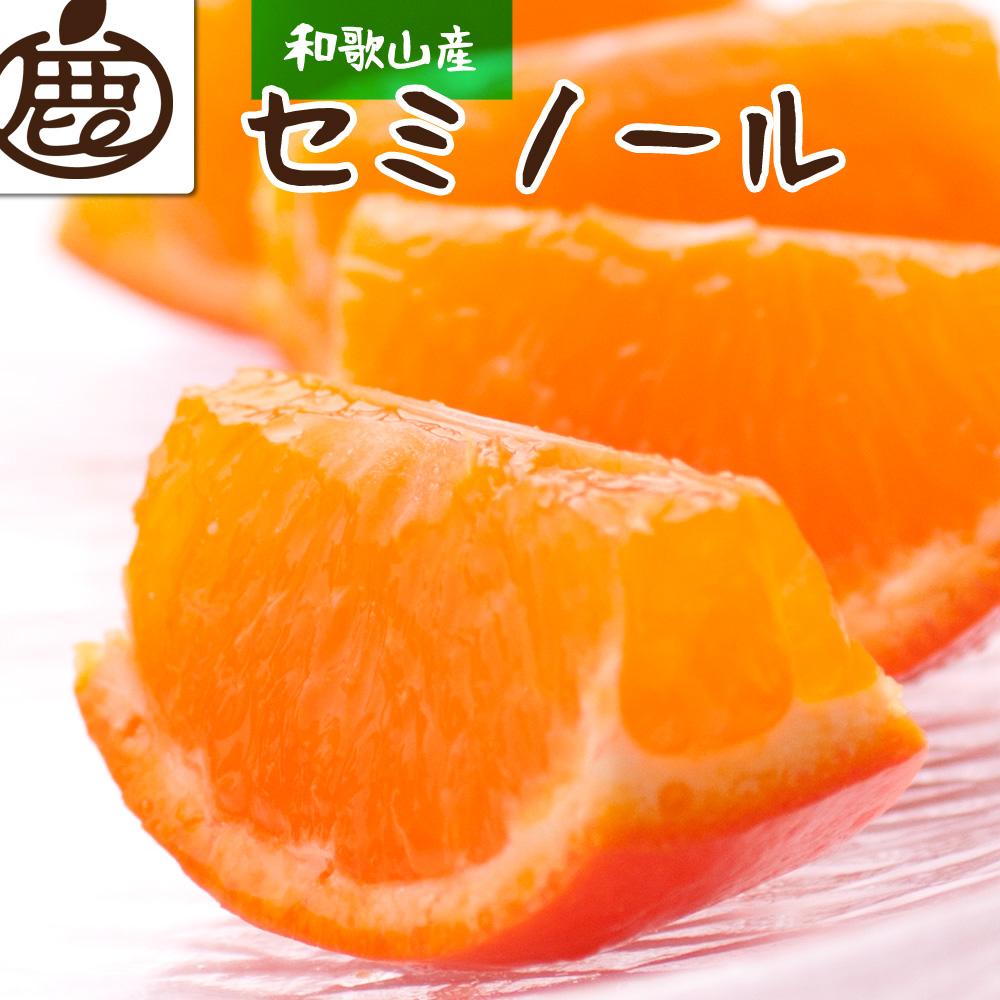 ＜4月より発送＞厳選 セミノールオレンジ2.5kg+75g（傷み補償分）【有田の春みかん】【有田産】【光センサー食べ頃出荷】