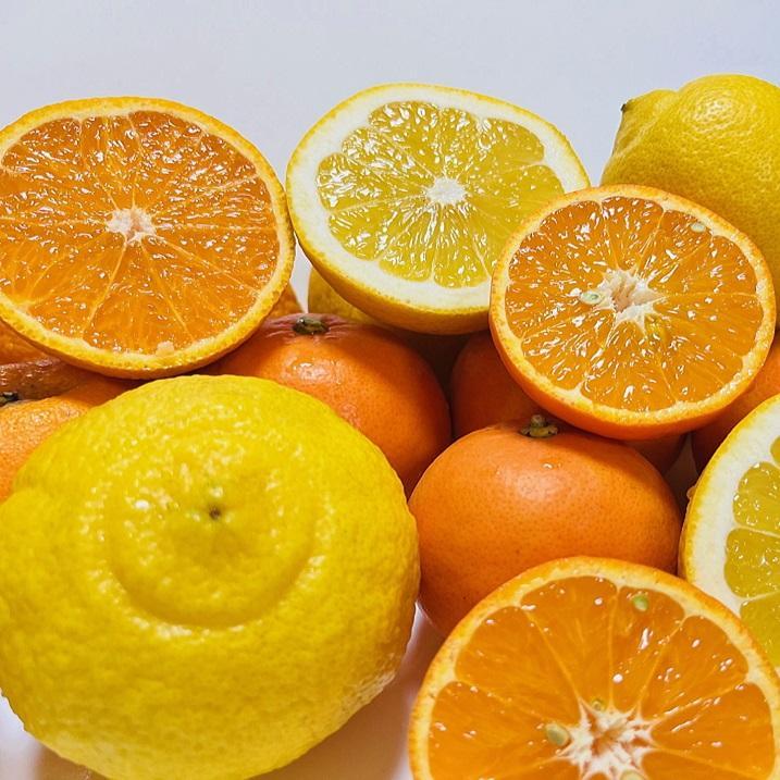 有田育ちの 旬の 柑橘 詰合せセット(ご家庭用) 約4.5kg【先行予約・2025年1月より発送】【MS64】