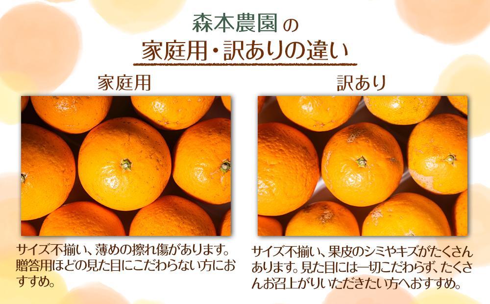 訳あり 森本農園の手選別 極早生みかん 7kg +200g傷み補償付 和歌山県産 2S~2Lサイズ混合 【北海道・沖縄・離島配送不可】【RN4】