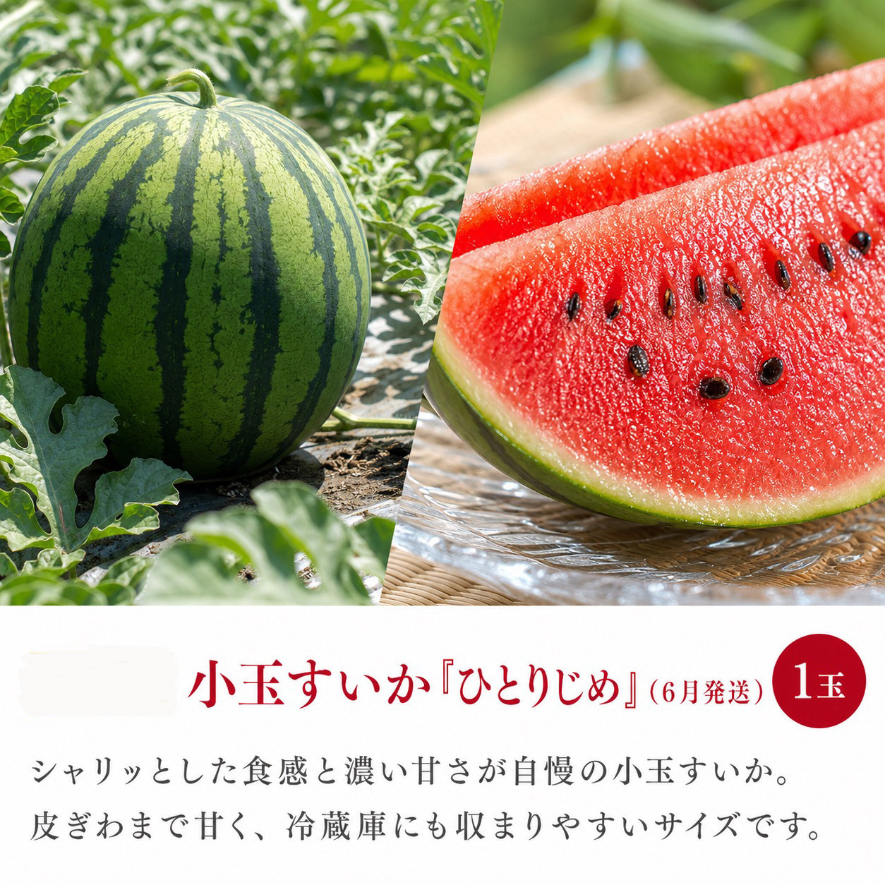 ［全3回 定期便］紀州和歌山産旬のフルーツセット（セミノール・スイカ・桃）［UT151］
