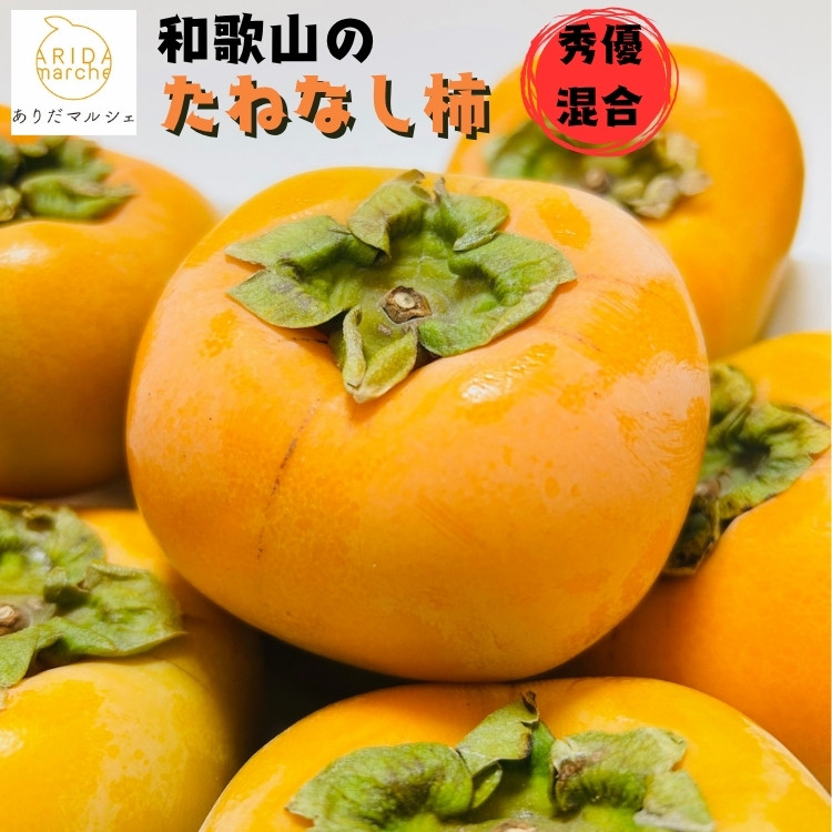《先行受付・2026年10月〜発送》和歌山のたねなし柿 約2kg ［MS131］