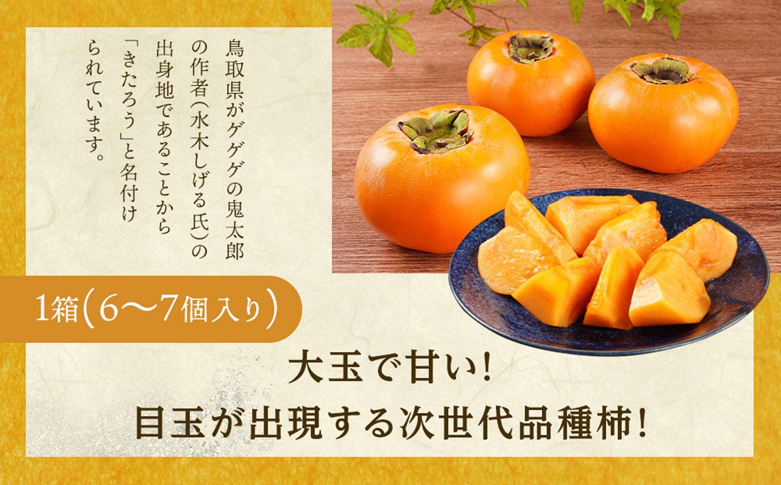 希少な柿【輝太郎】大玉6個～7個 コクのある甘さ！こだわり農家厳選【2025年10月初旬頃から10月下旬頃順次発送】【KG24】