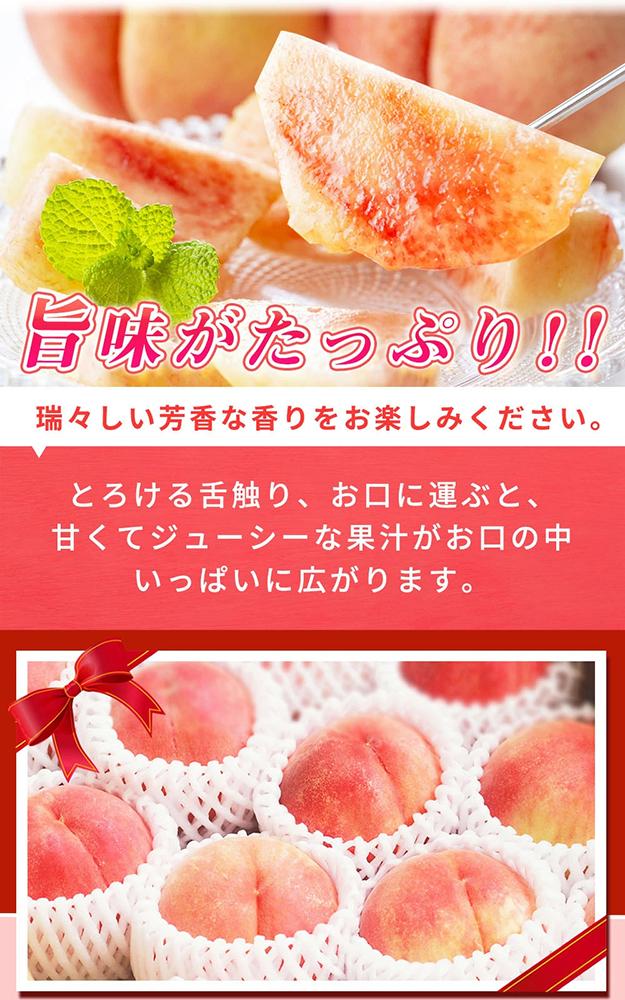 紀州和歌山産の桃 15玉 化粧箱入【2024年6月下旬より順次発送】