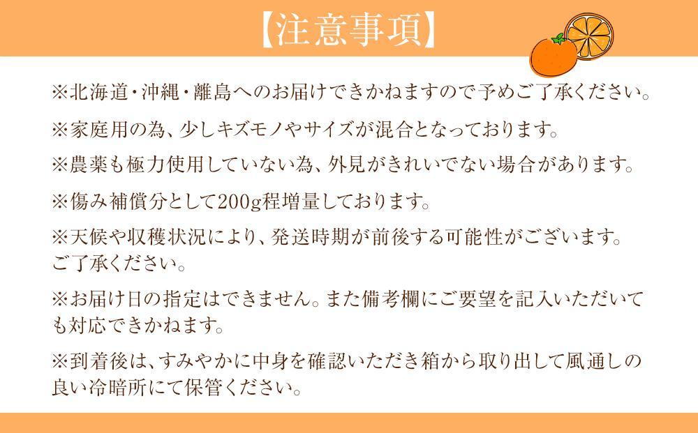 家庭用 森本農園の手選別 極早生みかん 5kg +200g傷み補償付 和歌山県産 2S~2Lサイズ混合 【北海道・沖縄・離島配送不可】【RN2】