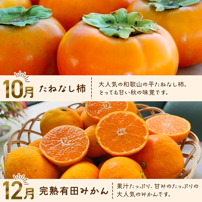 わかやま旬のフルーツ定期便[L] 全4回 2〜3・7・10・11〜12月発送 家庭用［MS124］