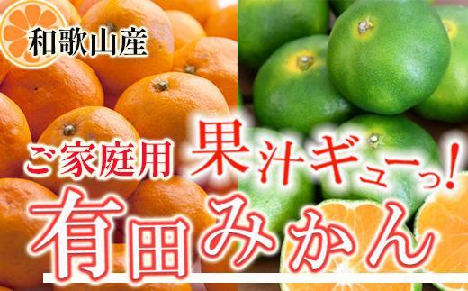 ［先行予約］家庭用 有田みかん5kg+250g（傷み補償分）［2026年10月初旬から2027年1月末日頃順次発送予定］［IKE247］