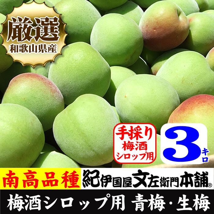 3kg 【緑】大サイズ 南高梅 梅酒用 フレッシュ青梅（生梅）／紀伊国屋文左衛門本舗