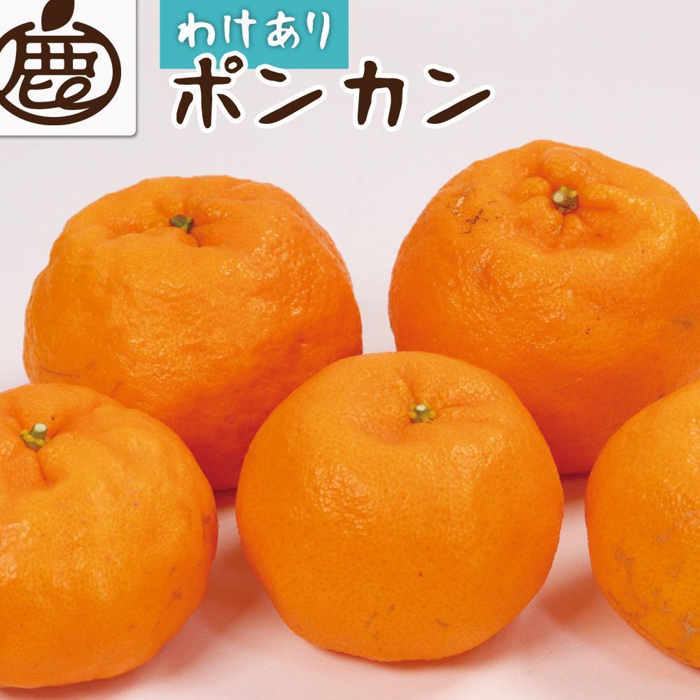 ＜1月より発送＞家庭用 ポンカン2kg+60g（傷み補償分）【訳あり・わけあり】【光センサー選別】