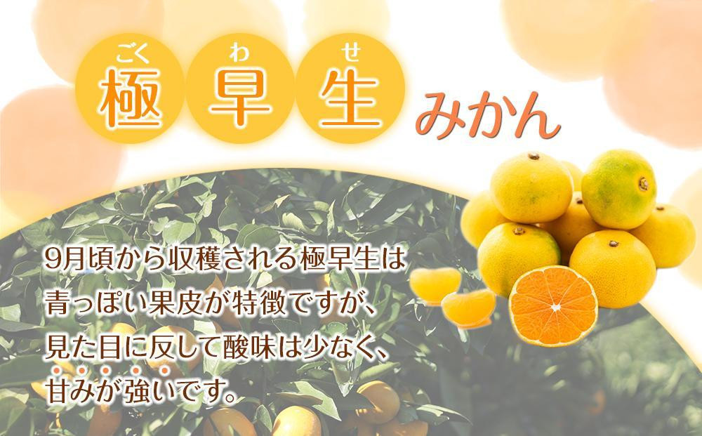 螳カ蠎ュ逕ィ 譽ョ譛ャ霎イ蝨偵ョ謇矩∈蛻・ 讌オ譌ゥ逕溘∩縺九s 邏8kg 蜥梧ュ悟アア逵檎肇 2S~2L繧オ繧、繧コ豺キ蜷 シサ蛹玲オキ驕薙サ豐也ク繝サ髮「蟲カ驟埼∽ク榊庄シスシサRN40シスシサ2026蟷エ10譛井ク頑流縺九i鬆谺。逋コ騾シス