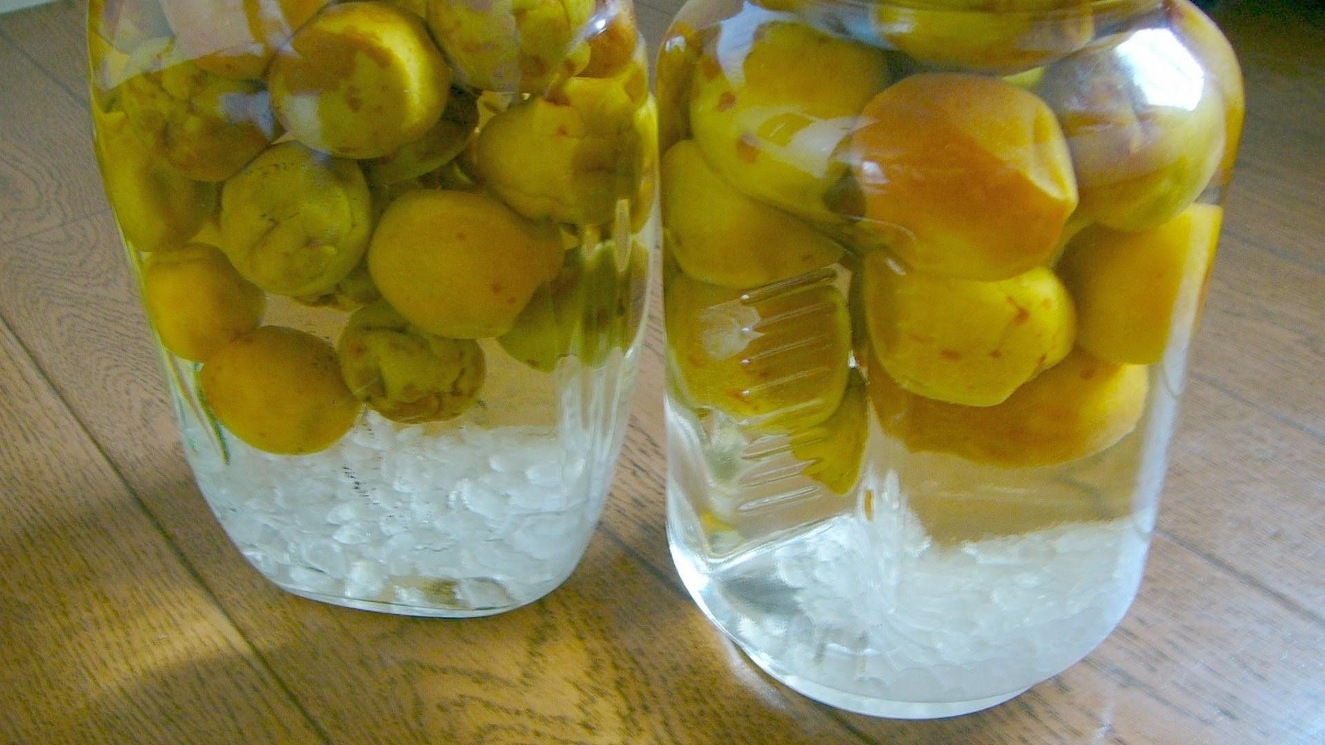 ［梅干・梅酒用］小粒（SまたはM−3Kg）熟南高梅＜2026年6月下旬〜7月中旬発送予定＞フルーツ 果物 くだもの 食品 人気 おすすめ 送料無料［ART20］