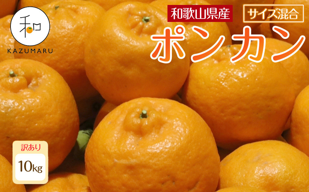 訳あり 森本農園の手選別 ポンカン 約10kg 和歌山県産 サイズ混合 ［北海道・沖縄・離島配送不可］［RN45］［2027年1月上旬から順次発送］