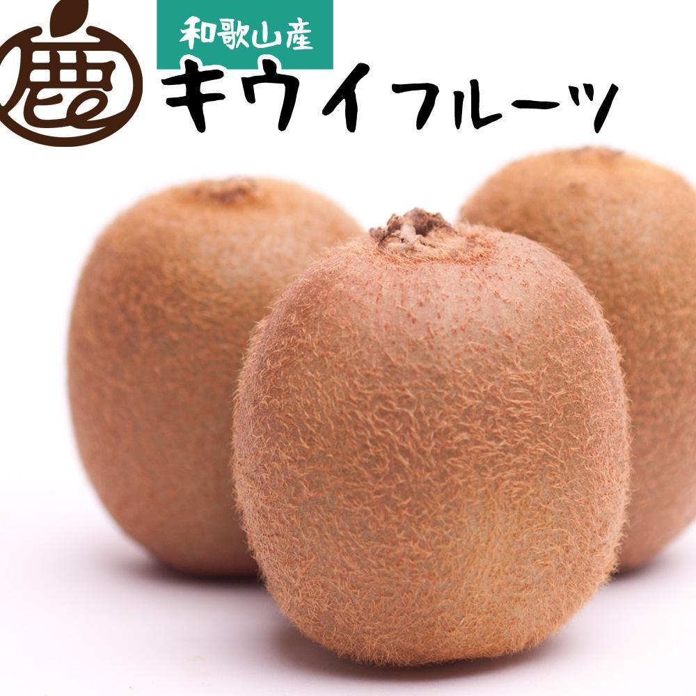 ＜11月より発送＞厳選 キウイフルーツ1kg+30g（傷み補償分）【扁平果】