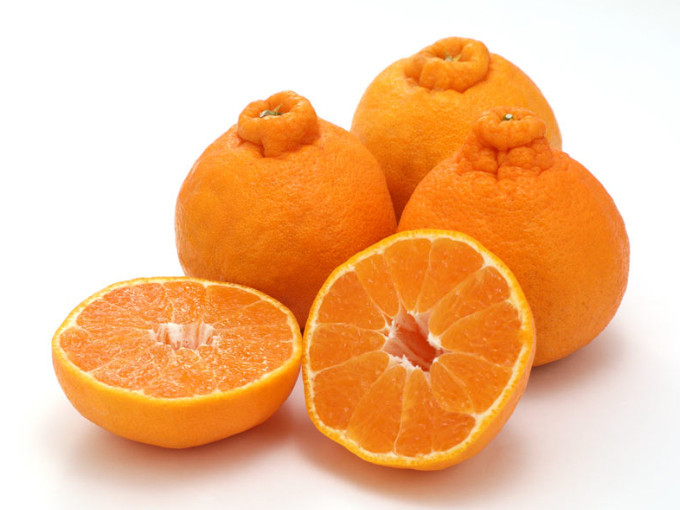 贈答用 森本農園の手選別 不知火 約2kg 和歌山県産  2L～3Lサイズ［北海道・沖縄・離島配送不可］［RN132］