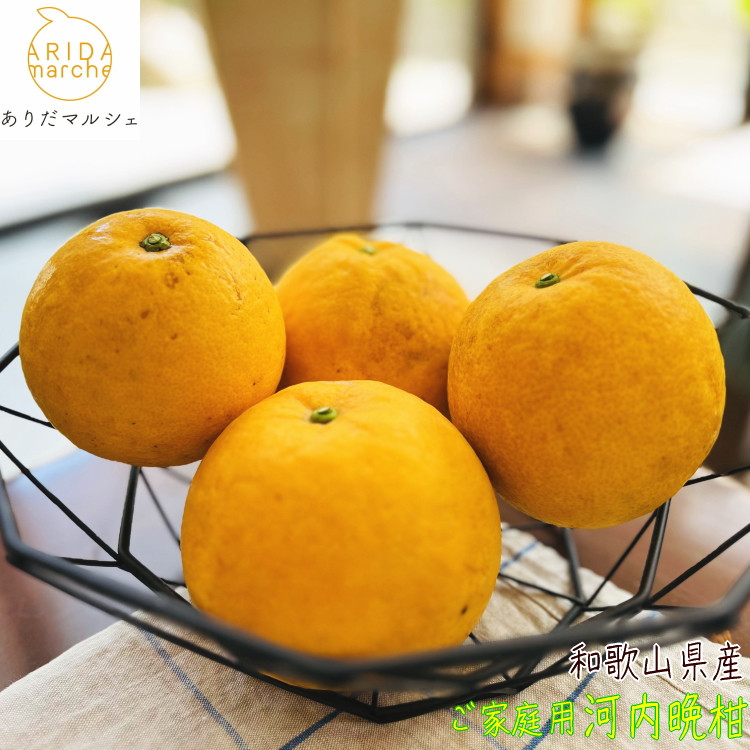 有田育ちの 爽やか 河内晩柑 (ご家庭用) 約3.5kg［2026年4月から発送］［MS61］