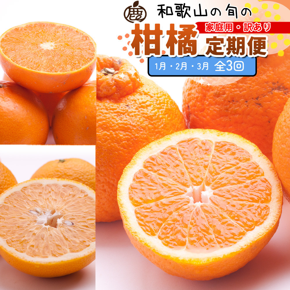 家庭用 柑橘定期便S（1〜3月）全3回 ［IKE303］