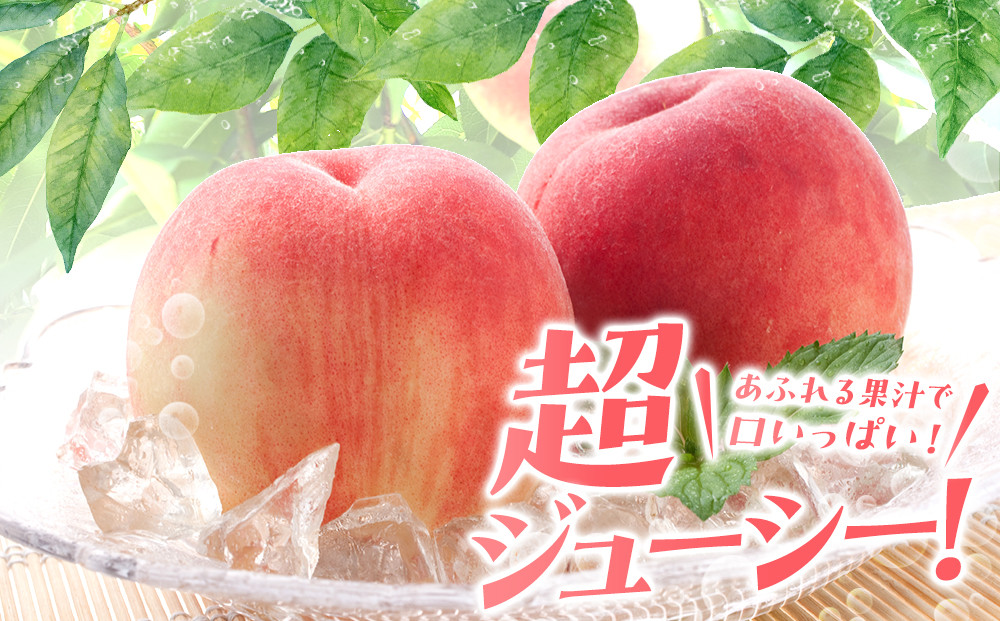 先行予約！［モモ］川中島白桃　約2kg 6〜8個入［2026年7月末頃から順次発送］［秀品］こだわり農家厳選 ［KG13］