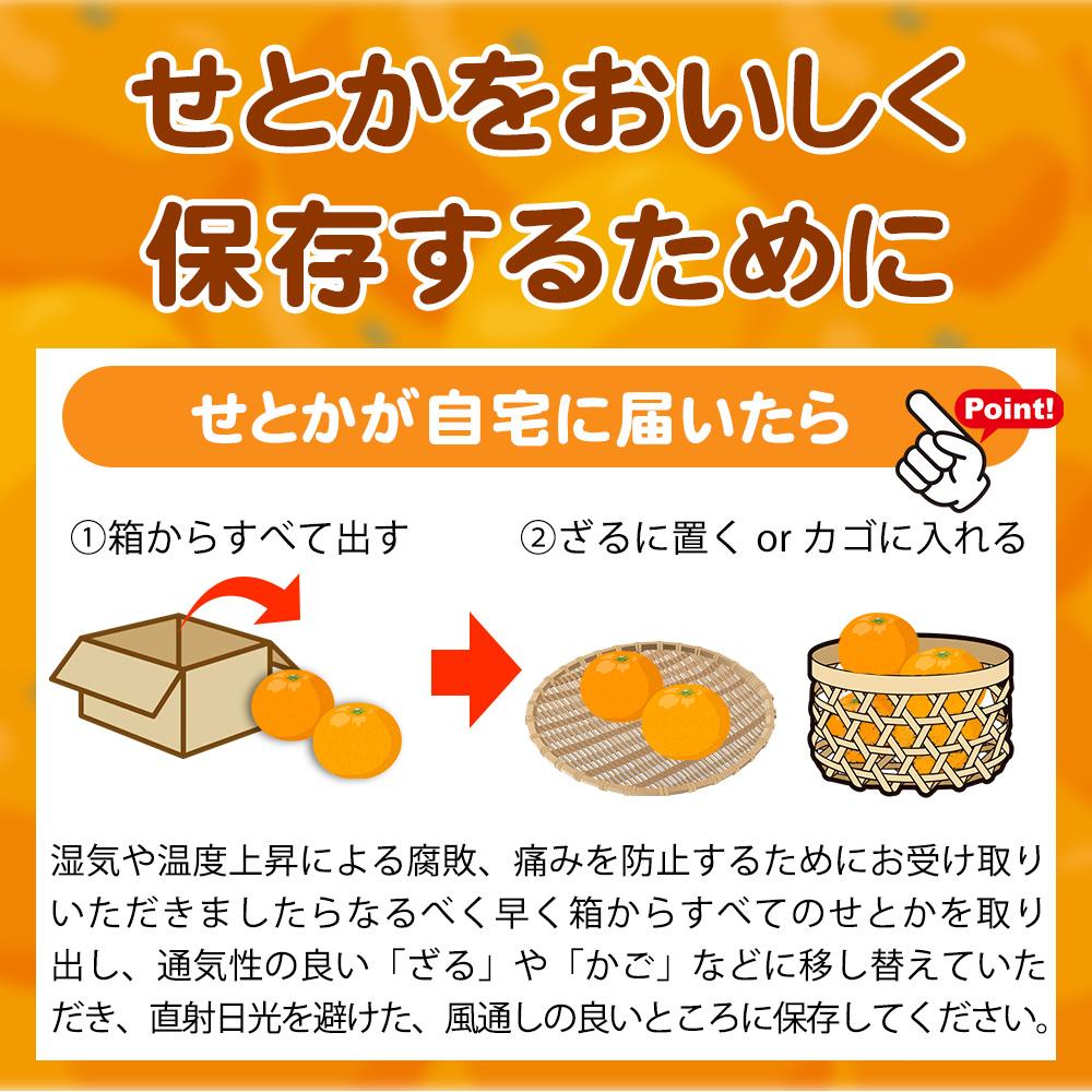 紀州有田産せとか約3kg　とろける食感！ジューシー柑橘【2025年2月下旬以降発送】【先行予約】【UT03】