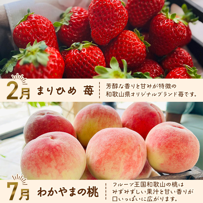 わかやま旬のフルーツ定期便[L] 全4回 2〜3・7・10・11〜12月発送 家庭用［MS124］