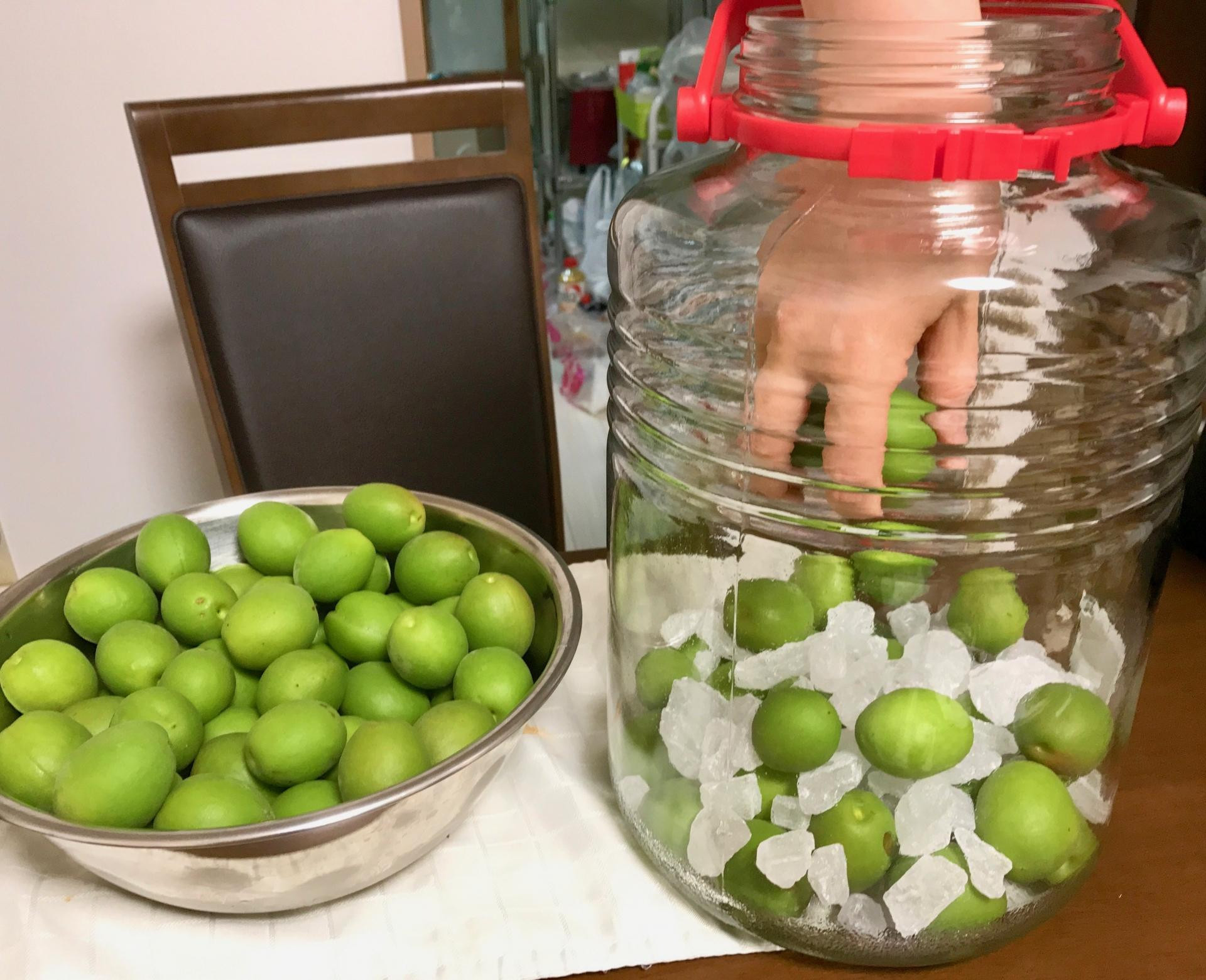 ［梅干・梅酒用］小粒（SまたはM−3Kg）熟南高梅＜2026年6月下旬〜7月中旬発送予定＞フルーツ 果物 くだもの 食品 人気 おすすめ 送料無料［ART20］