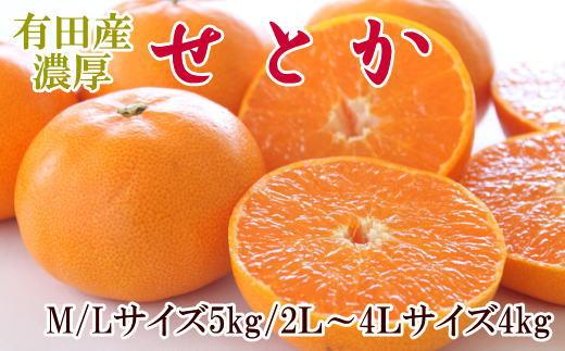 äžåºŠã¯é£ã¹ãŠããã ããããæç°ç£ã®ããšããçŽ4ïœ5kgïŒãµã€ãºããŸããïŒâ
2027幎2æäžæ¬é ããé æ¬¡çºéTM138