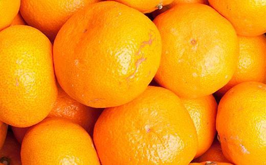 ［先行予約］家庭用 大きな有田みかん5kg+250g（傷み補償分）［2026年11月中旬から2027年1月末日頃、順次発送予定］［IKE244］