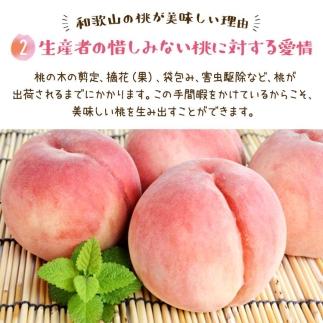 フルーツ王国　和歌山の桃　約２kg（fr-06）【先行予約】【2024年6月中旬～7月下旬発送】