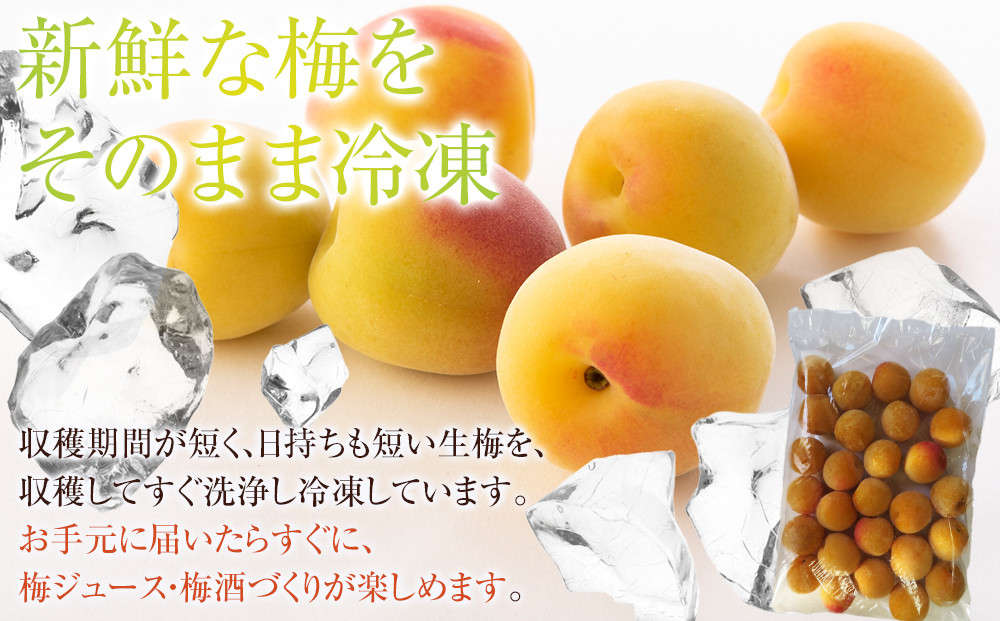蜀キ蜃 邏蟾槫漉鬮俶「 螳檎滓「 邏5kg L縲4L繧オ繧、繧コ豺キ蜷 縺泌ョカ蠎ュ逕ィ