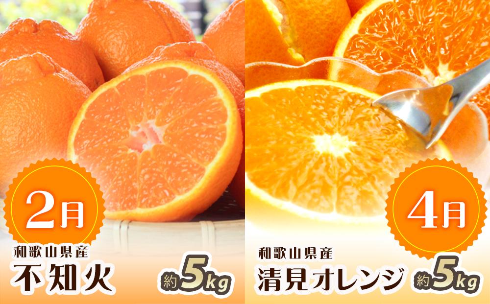 【2・4・6・8・10・12月 偶数月発送 全6回】和歌山産 旬のフルーツ お楽しみ 定期便 【魚鶴商店】【UT113】