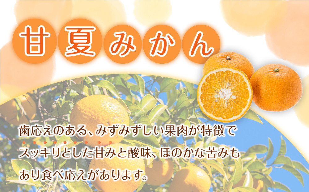 訳あり 森本農園の手選別 甘夏みかん 約10kg 和歌山県産 サイズ混合 ［北海道・沖縄・離島配送不可］［2026年4月上旬から順次発送］［RN76］