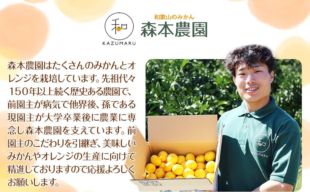 訳あり 森本農園の手選別 小粒みかん 約6kg 和歌山県産 2S・3Sサイズ混合 ［北海道・沖縄・離島配送不可］［2026年11月上旬から順次発送］［RN65］