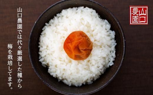 å®çå髿¢
䜿çšãããå¡©ç鿢
å¹²ã800gããŸãããä»ç«ãŠïŒå¡©å10ïŒ
ïŒ