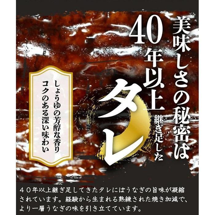 大型サイズふっくら柔らか 国産うなぎ蒲焼き 2尾