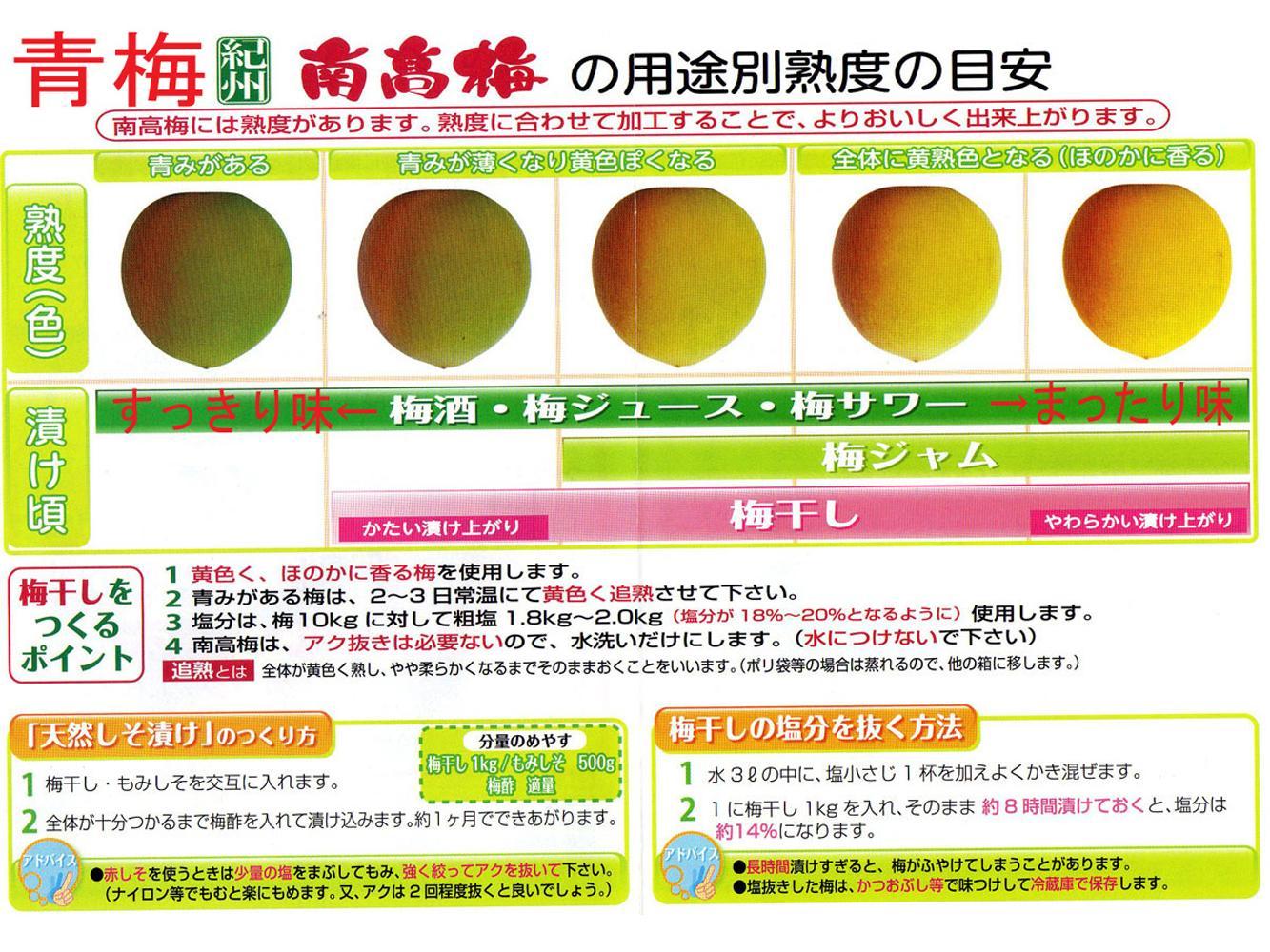 【梅干・梅酒用】（LまたはM－2Kg）熟南高梅＜2025年6月上旬～7月7日発送予定＞フルーツ 果物 くだもの 食品 人気 おすすめ 送料無料【ART07】