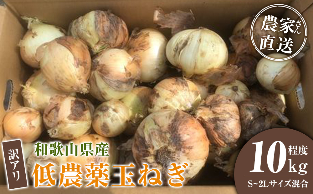 ［2026年発送分・先行予約］訳あり 農家さん直送 低農薬玉ねぎ 10kg程度 S〜2L混合［4月中旬〜7月中旬頃発送予定］ご家庭用 ※傷有り［KF14］