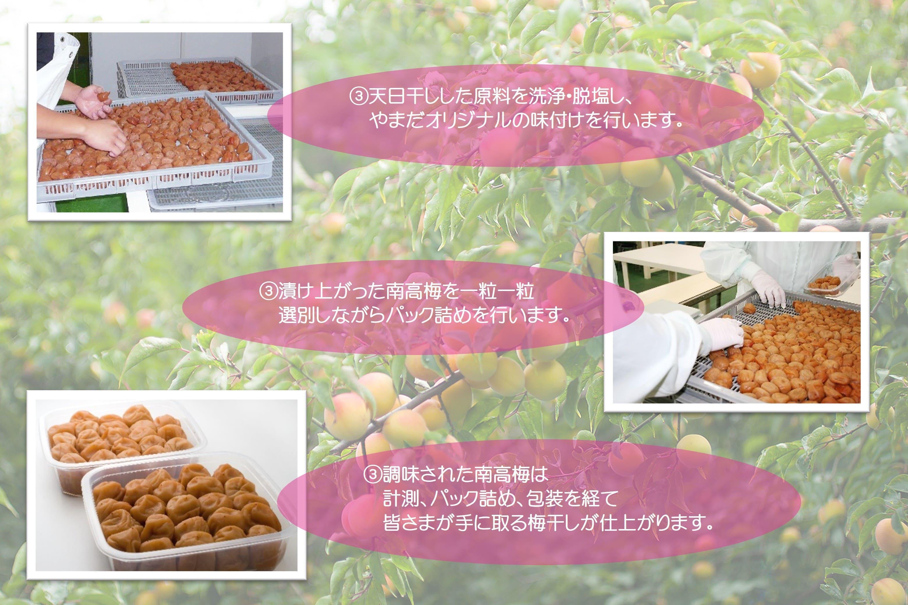 紀州南高梅 「花」 塩分約6％ 500g ［YM7ｗ］