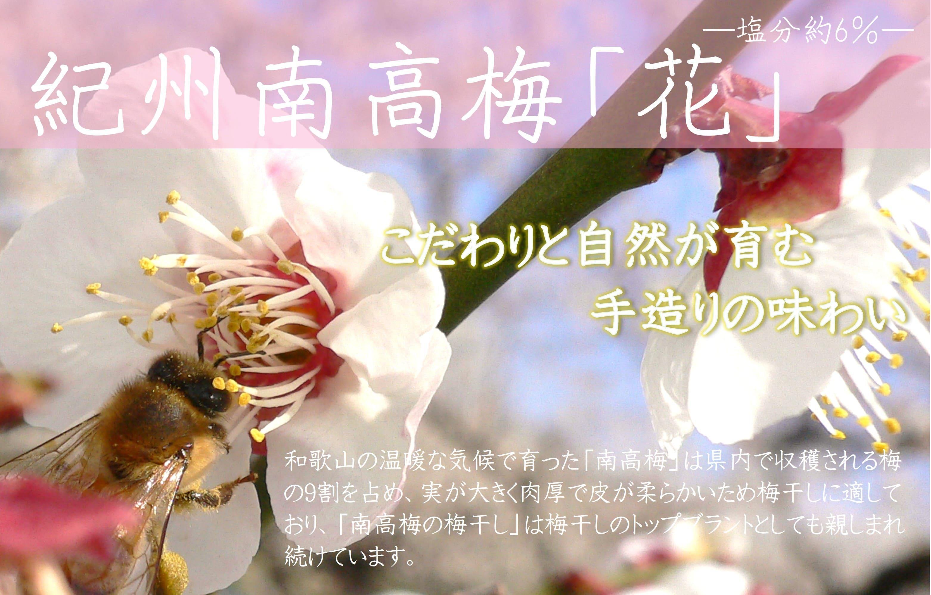 紀州南高梅 「花」 塩分約6％ 500g ［YM7ｗ］