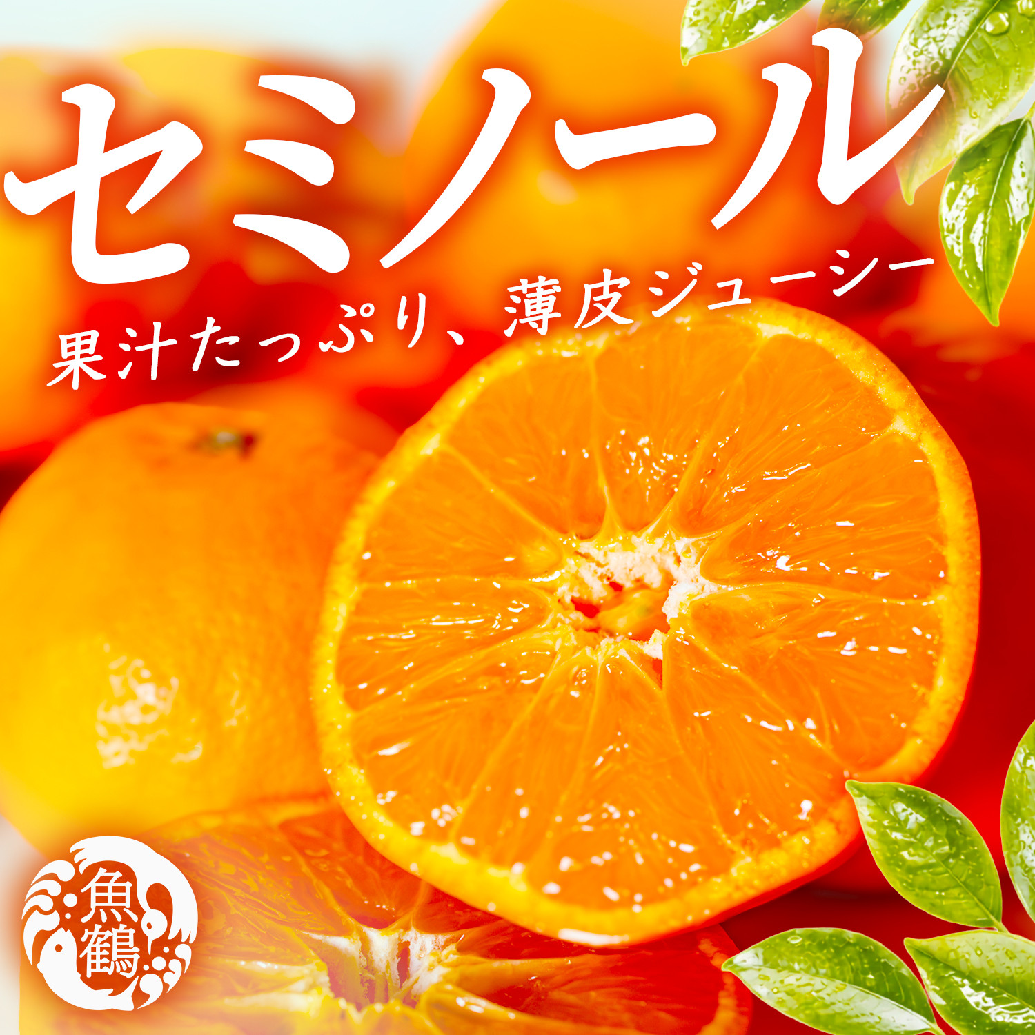 ［先行予約］ジューシー柑橘 セミノールオレンジ 5kg［UT149］