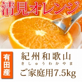 【ご家庭用訳アリ】紀州有田産清見オレンジ　7.5kg【2025年3月下旬以降発送】【先行予約】【UT54】