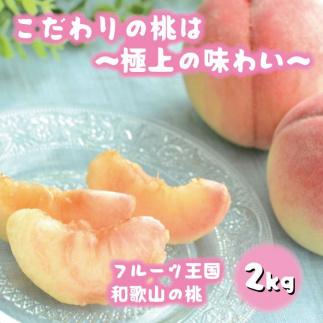 フルーツ王国　和歌山の桃　約２kg（fr-06）【先行予約】【2024年6月中旬～7月下旬発送】