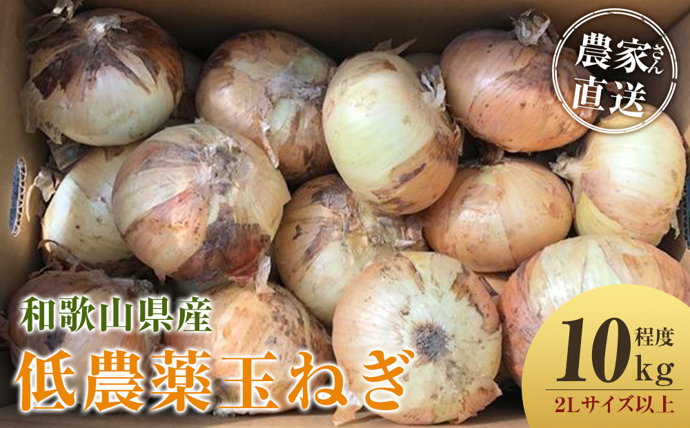 ［2026年発送分・先行予約］農家さん直送 低農薬玉ねぎ 2Lサイズ以上 10kg程度［4月中旬〜7月中旬頃発送予定］［KF15］
